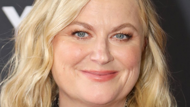 Amy Poehler smirking 