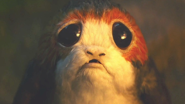 Porg from 'Star Wars'