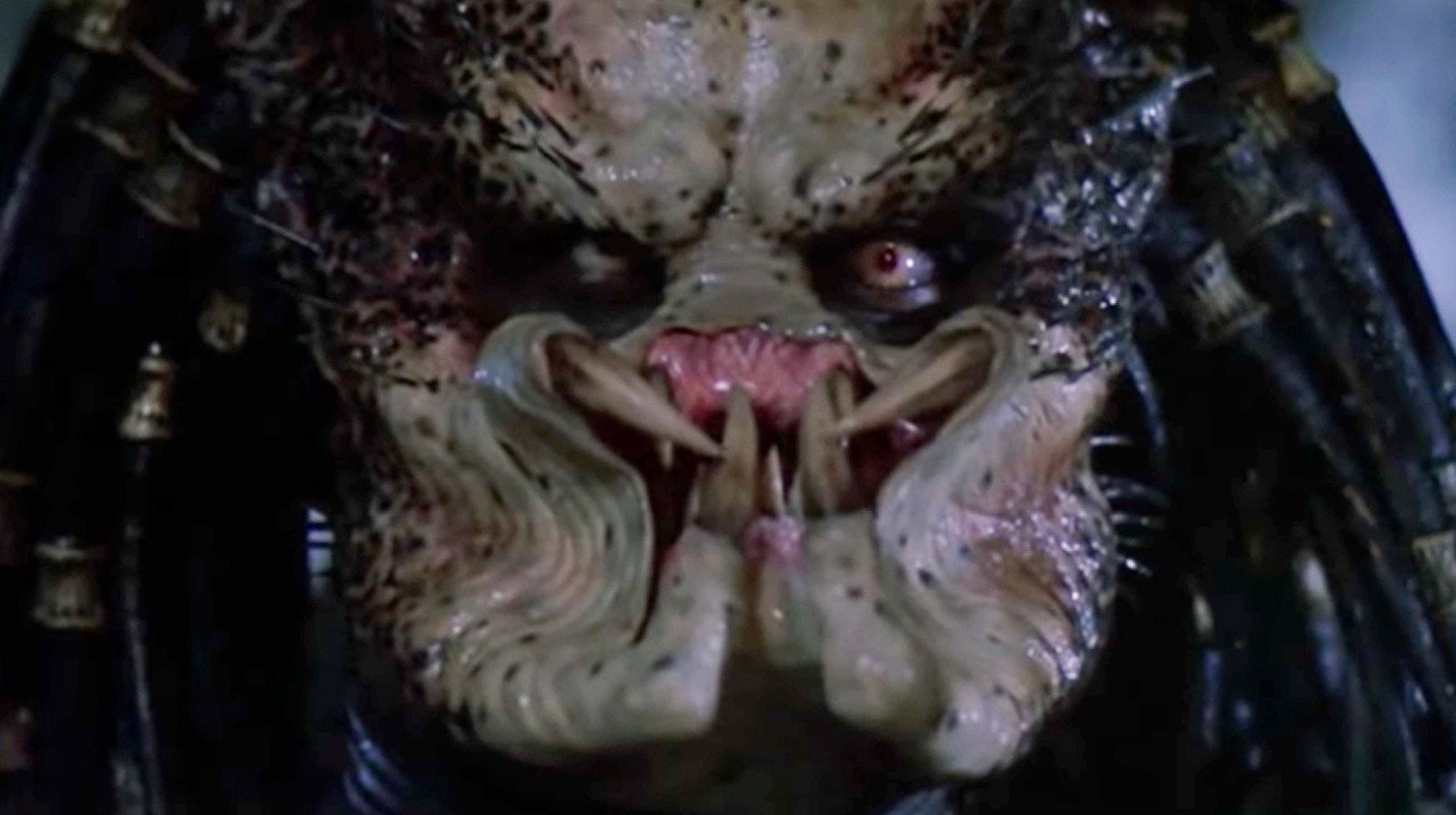 Ranking the Predator Franchise From Worst to Best