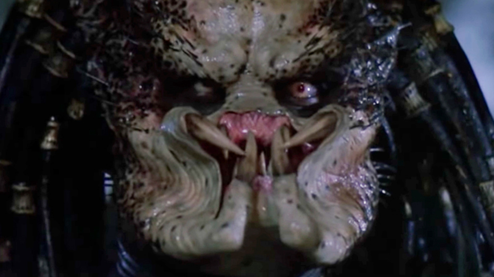 Every Single 'Predator' Movie, Ranked for Worst to Best