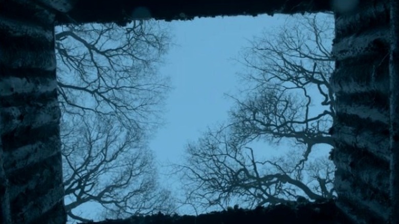 Looking up from snake-pit