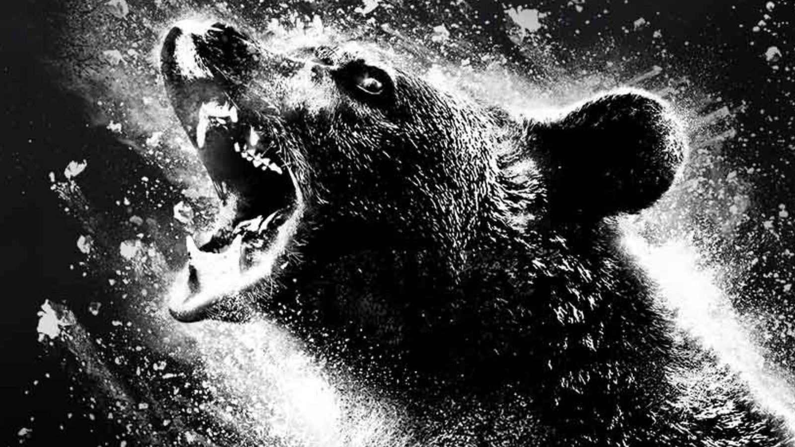 The Real Cocaine Bear Is Still Out There In The World