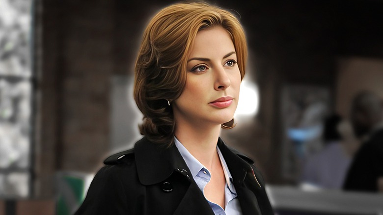 Diane Neal NCIS composite image