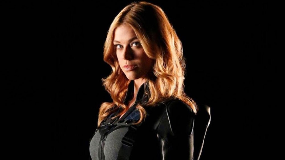 Adrianne Palicki as Bobbi Morse