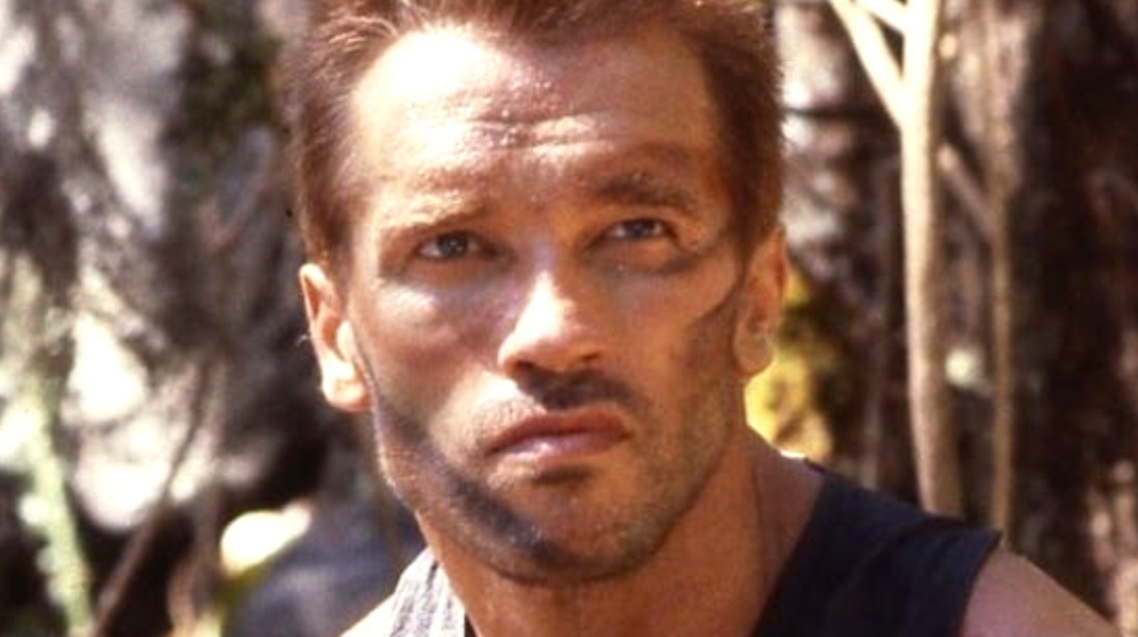The Real Reason Arnold Schwarzenegger Wasn't In Predator 2
