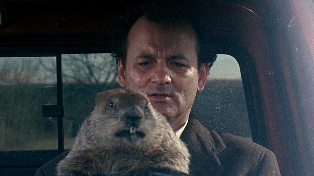 Groundhog Day Bill Murray