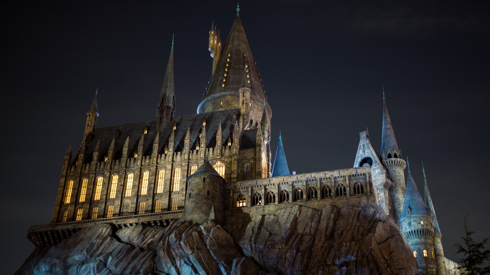 HogWarts Castle Look alike Disney Pun Harry Potter Magical Fantasy Land Palace