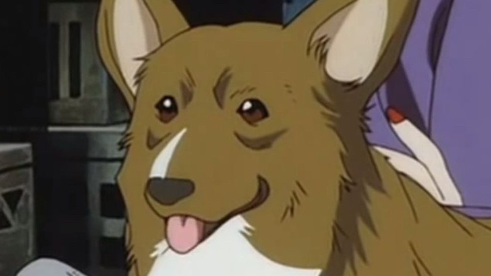 The Real Reason Ein Was Created For Cowboy Bebop