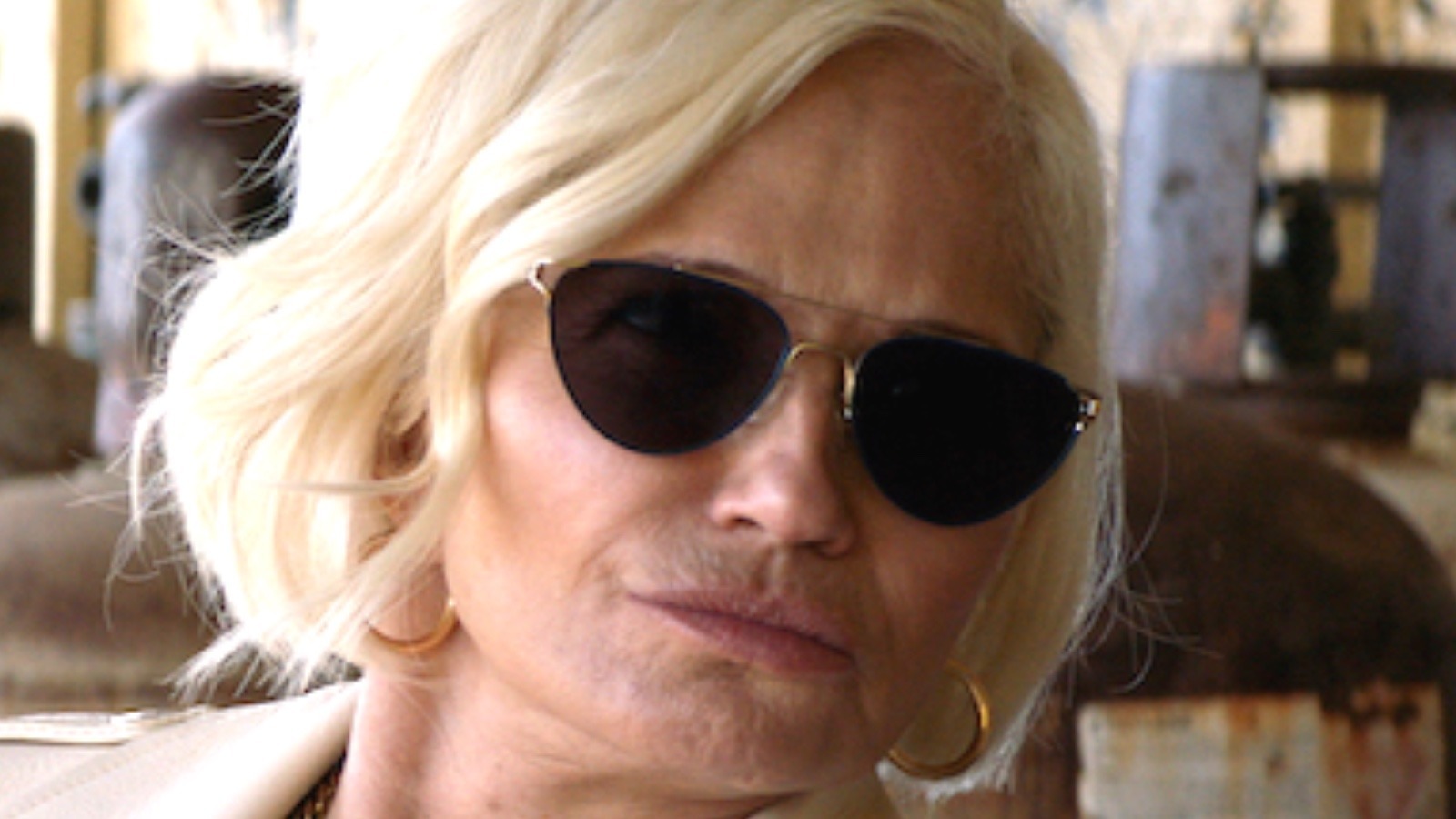 Ellen barkin pic