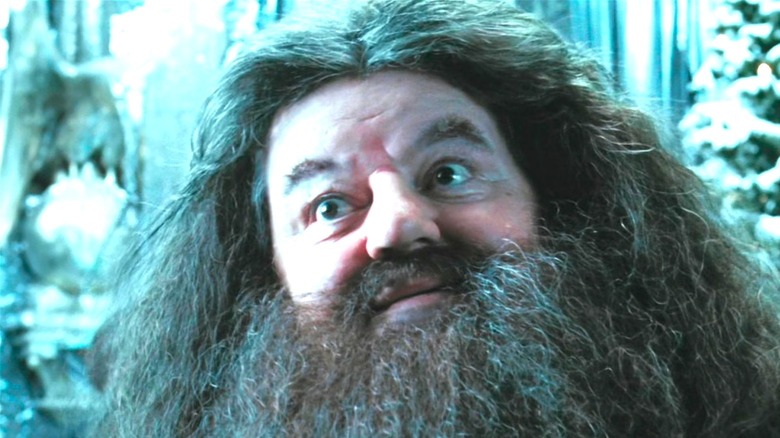 Robbie Coltrane as Hagrid at the Yule Ball in "Harry Potter and the Goblet of Fire"