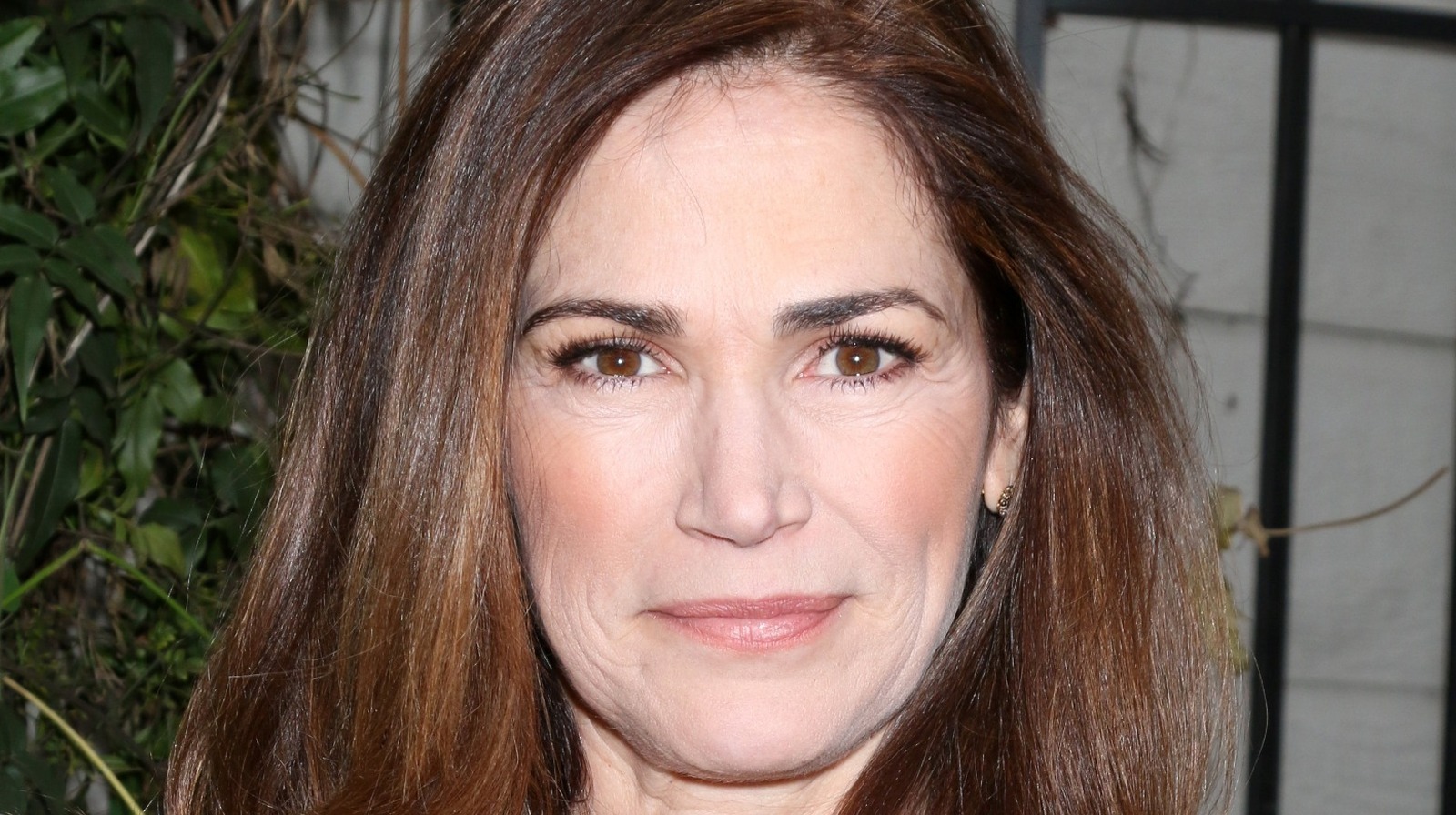 Pictures of kim delaney