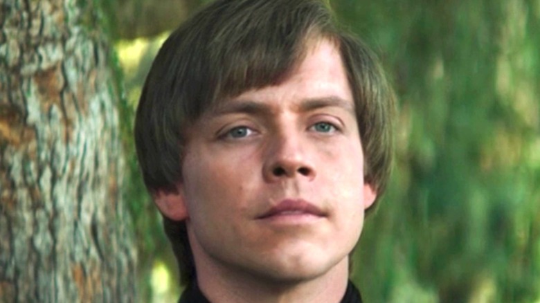 Luke Skywalker in a forest