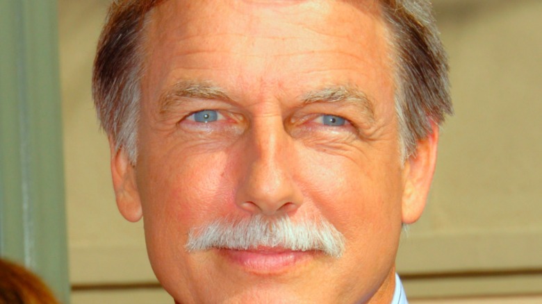 Mark Harmon mustache