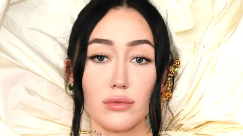 Noah Cyrus will star in the first season finale of American Horror Stories