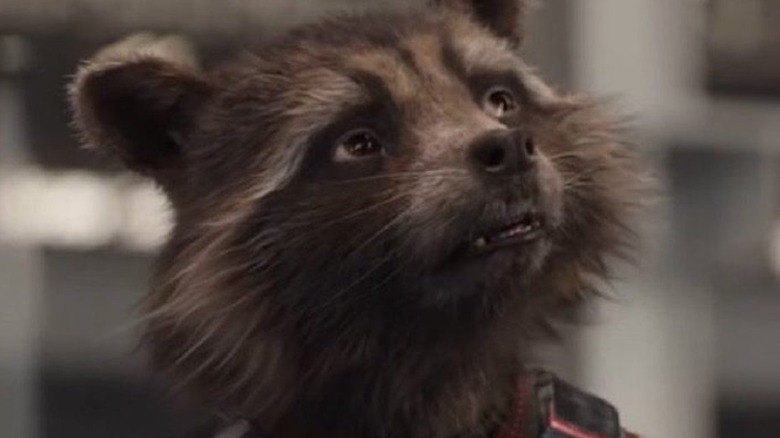 Rocket Raccoon in Avengers: Endgame