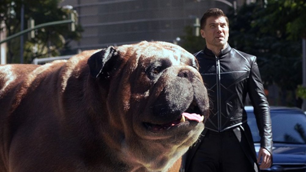 (from left to right) Lockjaw the Bulldog and Anson Mount as Black Bolt in Inhumans