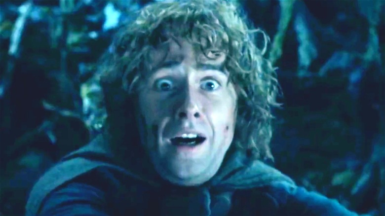 Lord of the Rings Pippin