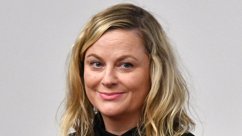 dis delvist Følelse Why You Don't See Amy Poehler Anymore