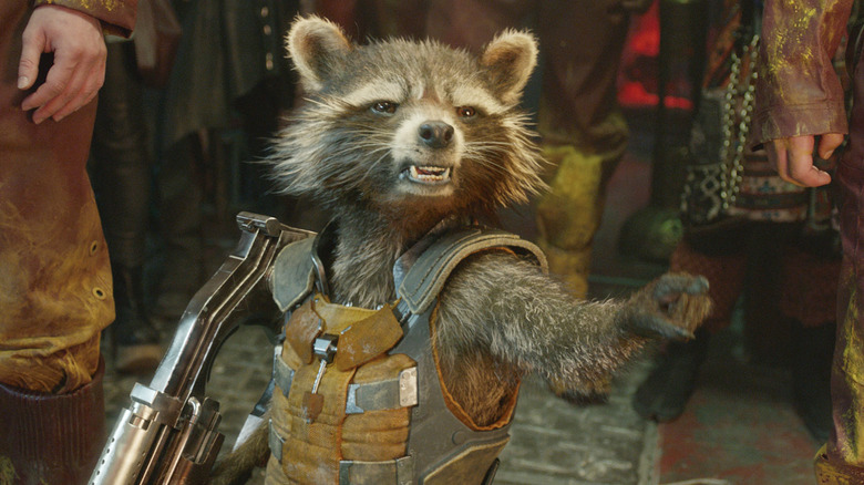 Rocket Racoon pointing