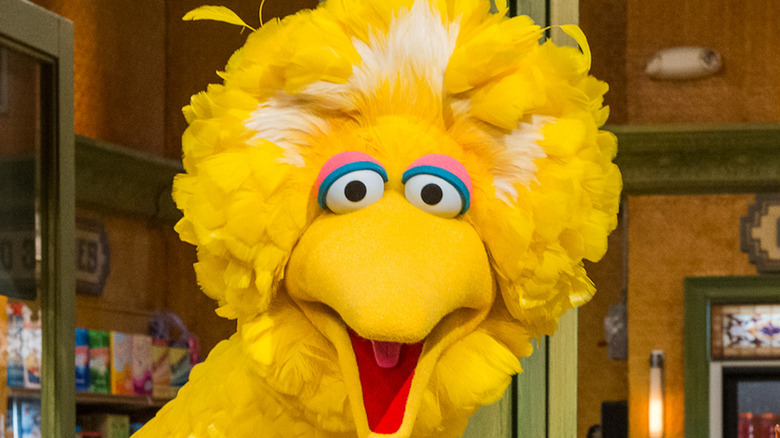 Big Bird smiles at camera on Sesame Street