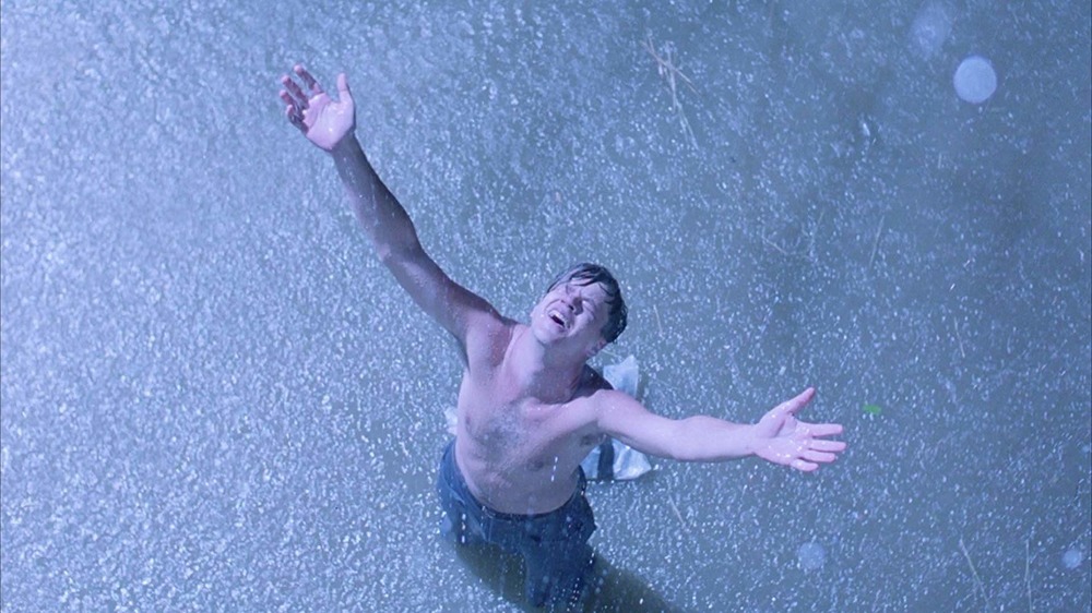 Tim Robbins Andy Dufresne rain