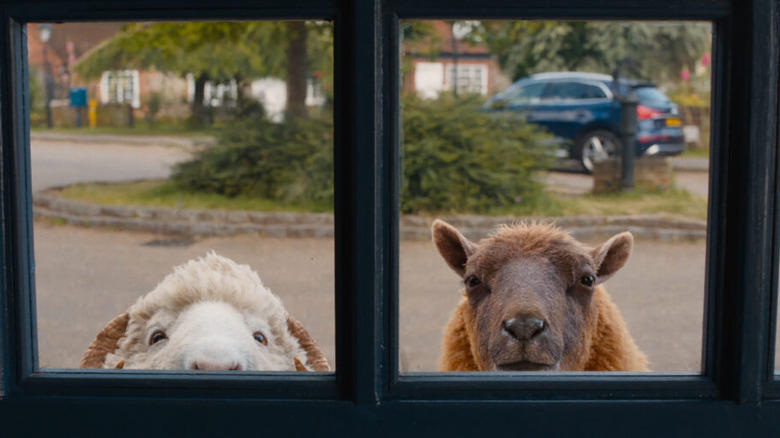 Lily and Mopple looking through a window in The Sheep Detectives