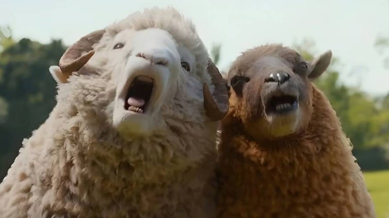 Lily and Mopple screaming in The Sheep Detectives