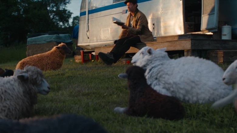 George reading to his sheep in The Sheep Detectives