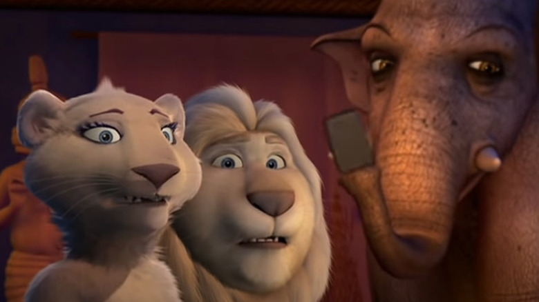 Animals getting along