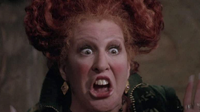 Winifred Sanderson hooded cloak