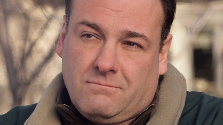 Tony Soprano looks thoughtful