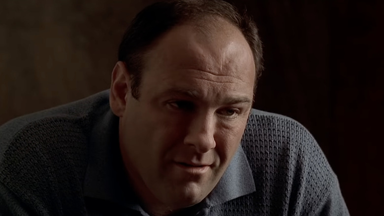 Tony Soprano serious