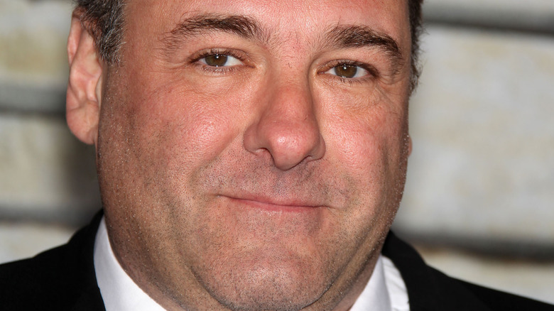 James Gandolfini at event.