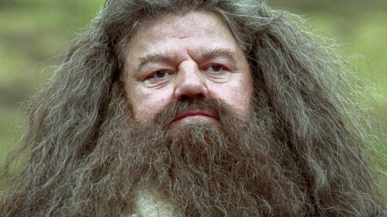 Hagrid with an indifferent expression