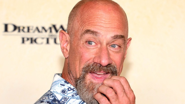 Christopher Meloni scratching chin