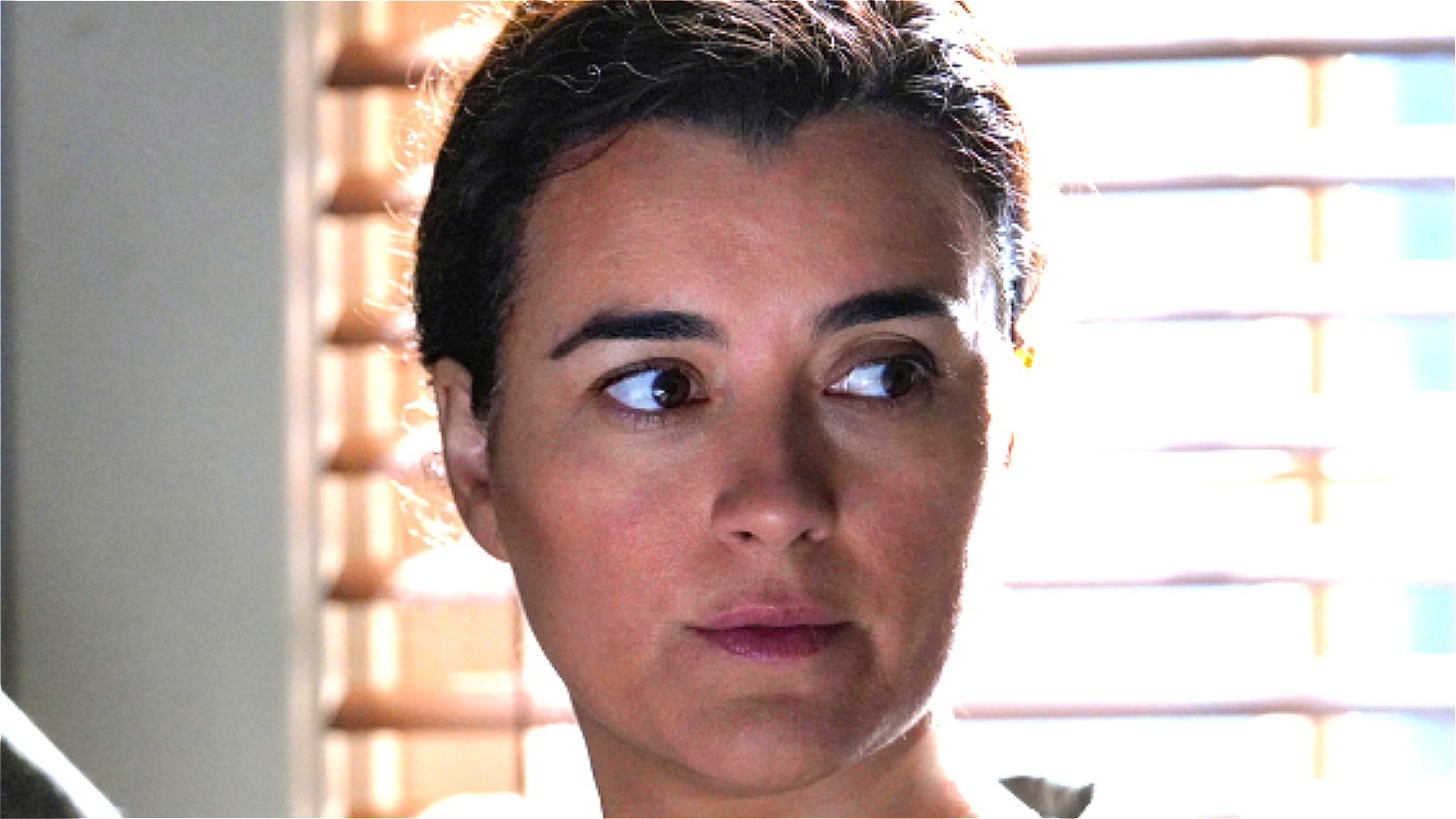The Staggering Number Of NCIS Episodes Cote De Pablo Actually Filmed