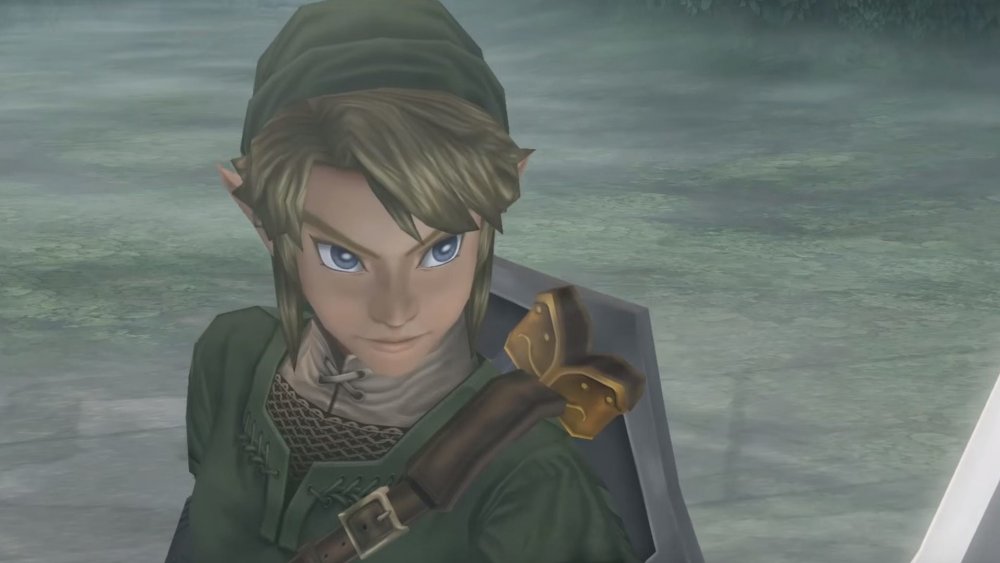 Link in Twilight Princess