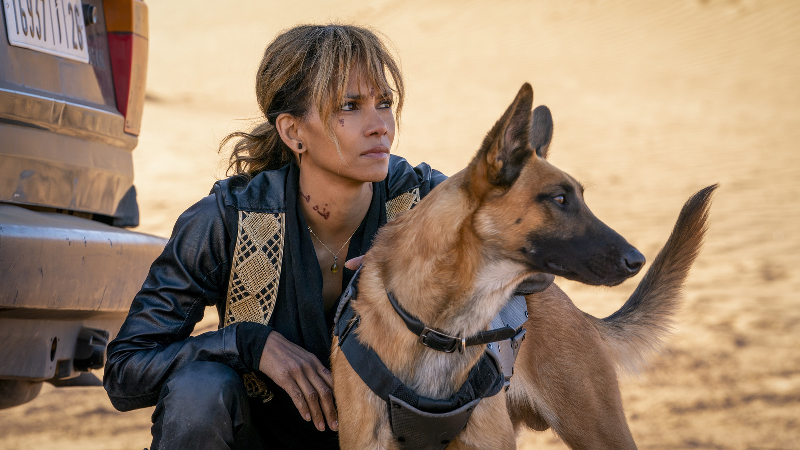 What Breed Is John Wick 3 Dog