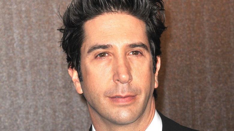 David Schwimmer slightly smiling