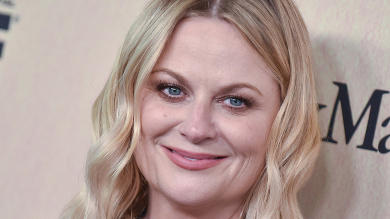 Amy Poehler at event