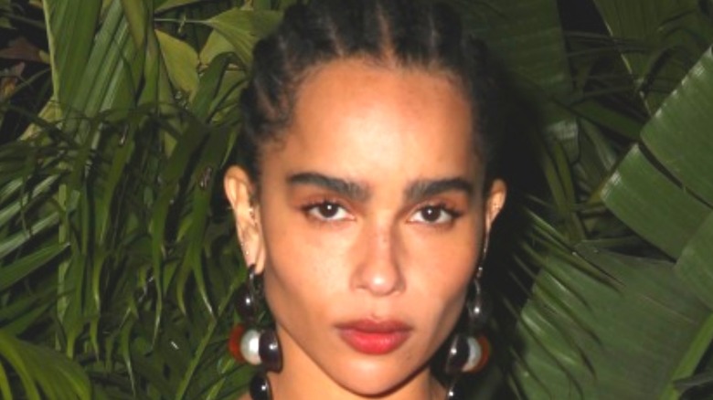 Zoë Kravitz wearing long earrings