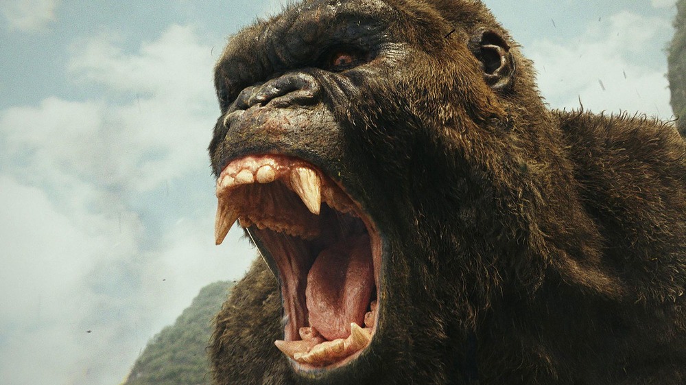 Kong screaming