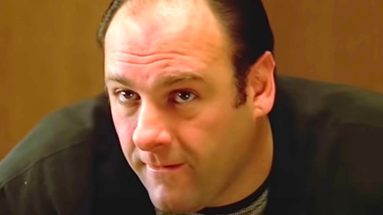 James Gandolfini as Tony Soprano