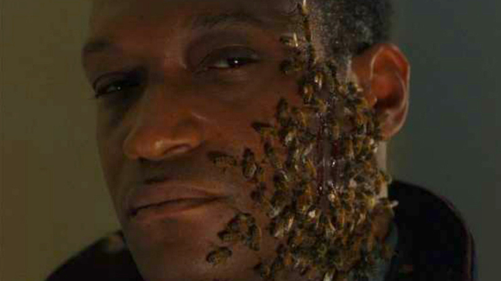 Candyman' 30 Years Later: Tony Todd, Virginia Madsen on Those Bees and the  Horror Film's Racial Impact