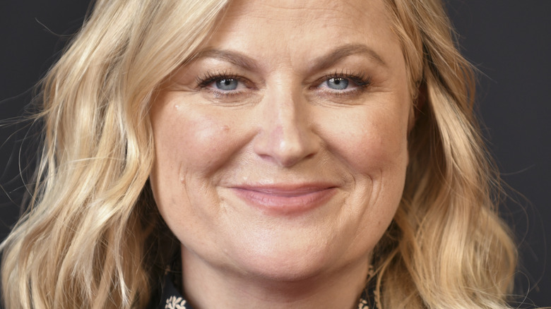 Amy Poehler smiling