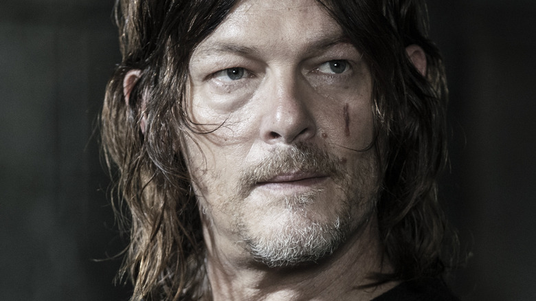 Norman Reedus as Daryl Dixon