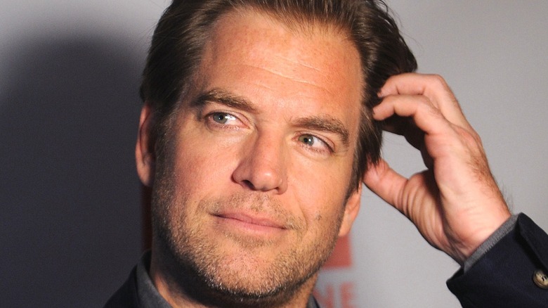 Michael Weatherly posing