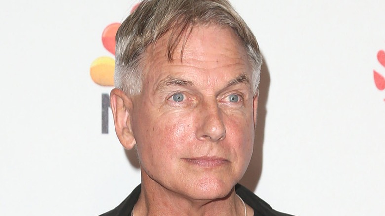 Mark Harmon in front of white background