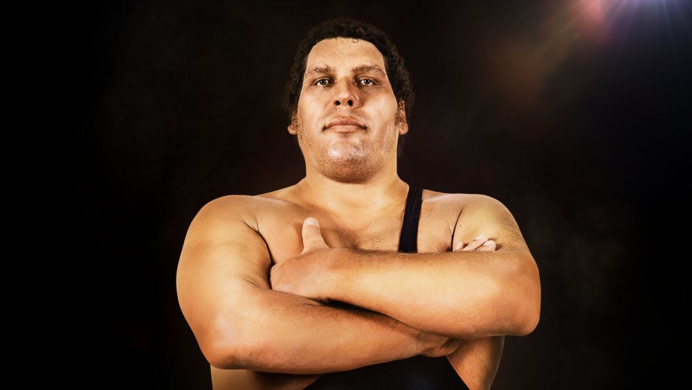 a&e biography andre the giant