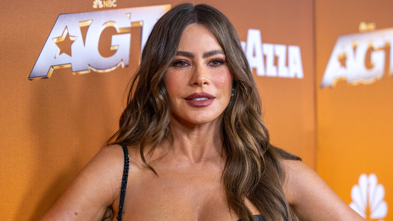 Sofia Vergara on the red carpet